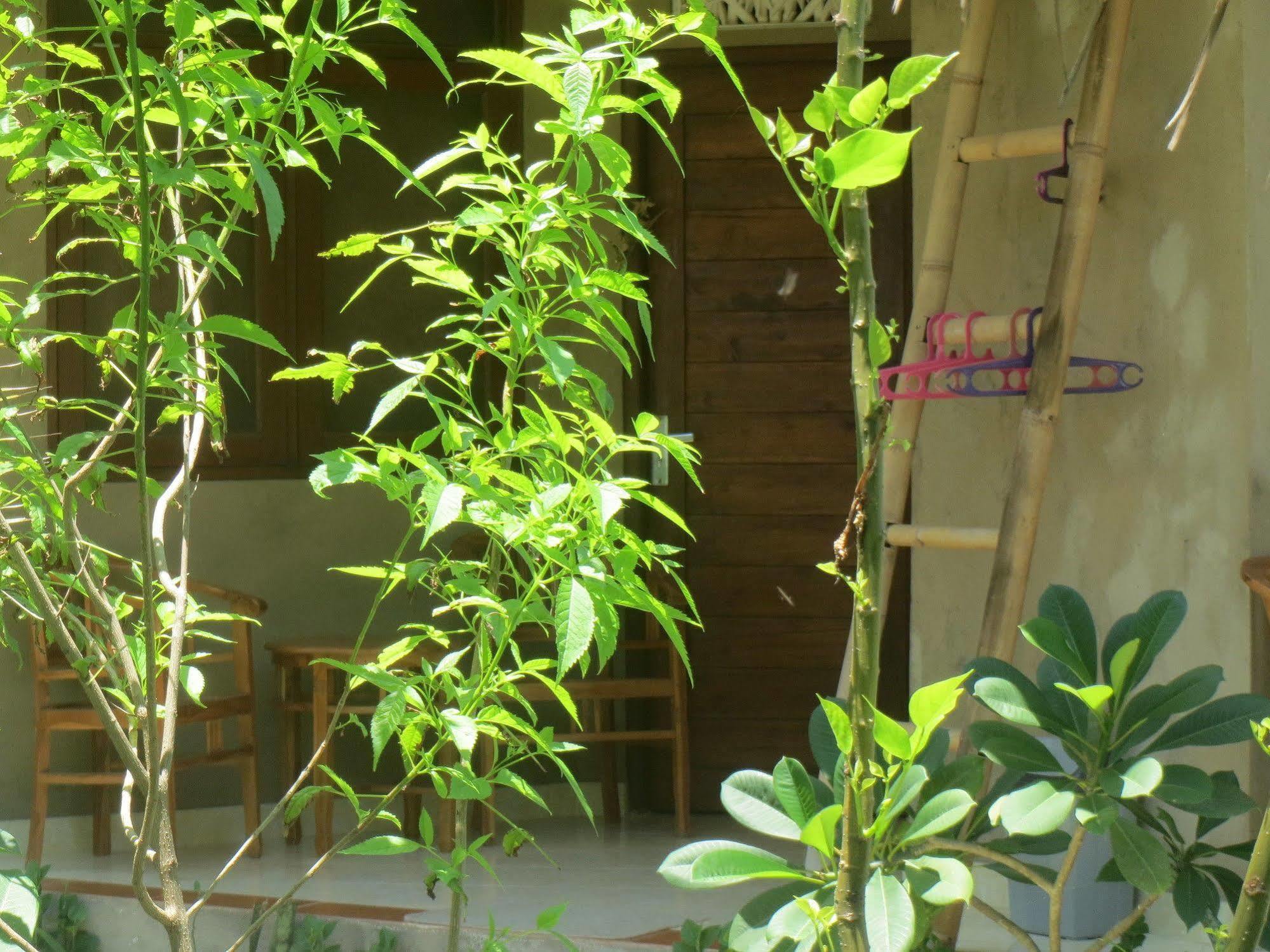 Amed Sari Beach Guesthouse Екстер'єр фото