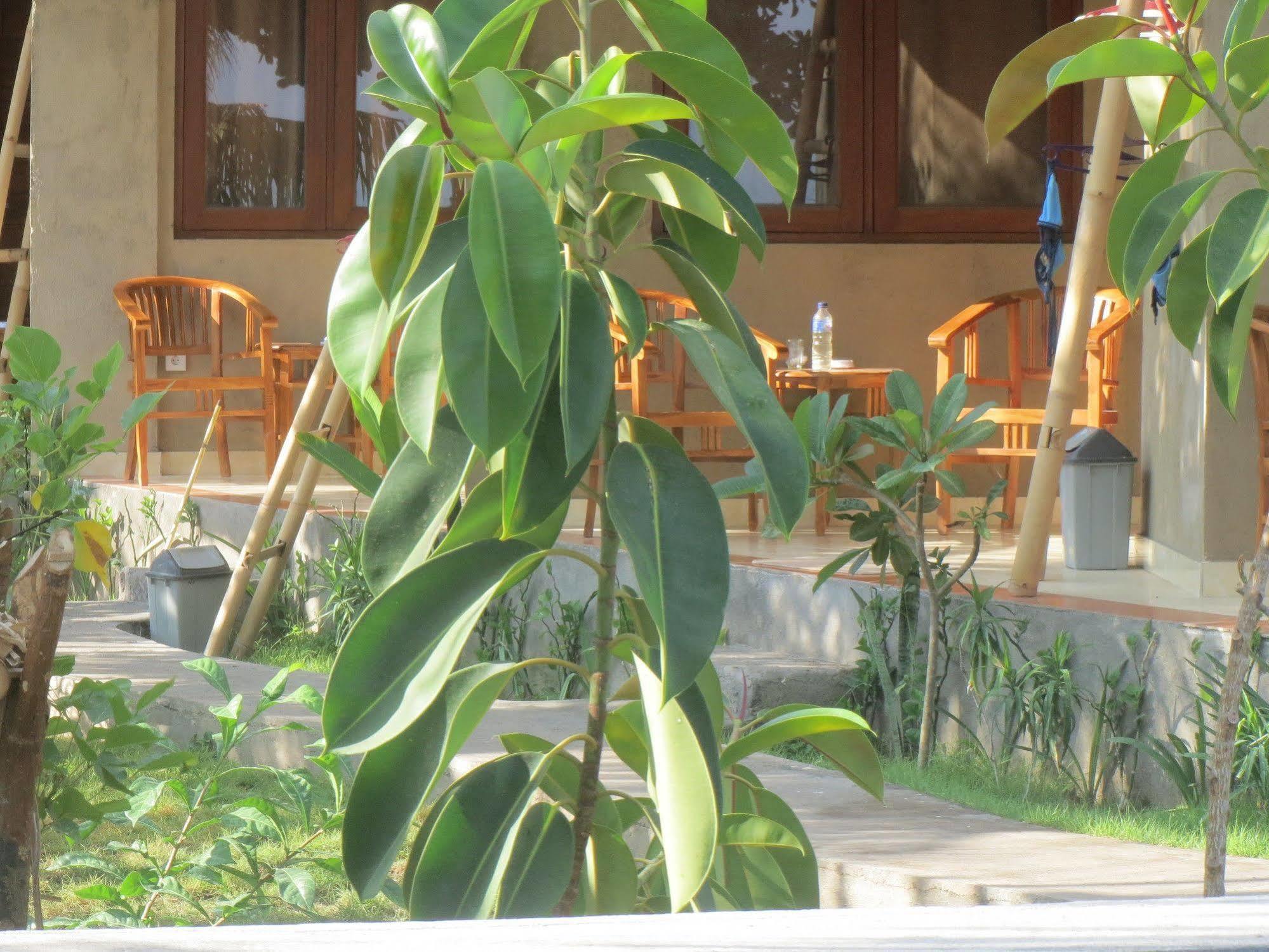 Amed Sari Beach Guesthouse Екстер'єр фото